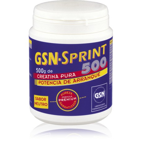 GSN SPRINT 500
