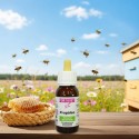 Extracto de propóleo glicerinado 60 ml