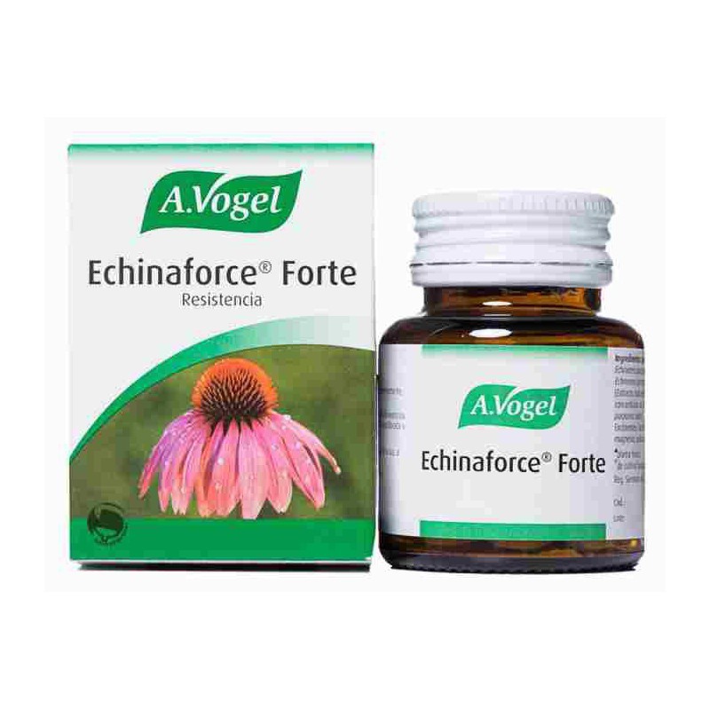 ECHINAFORCE FORTE ECHINAFORCE FORTE