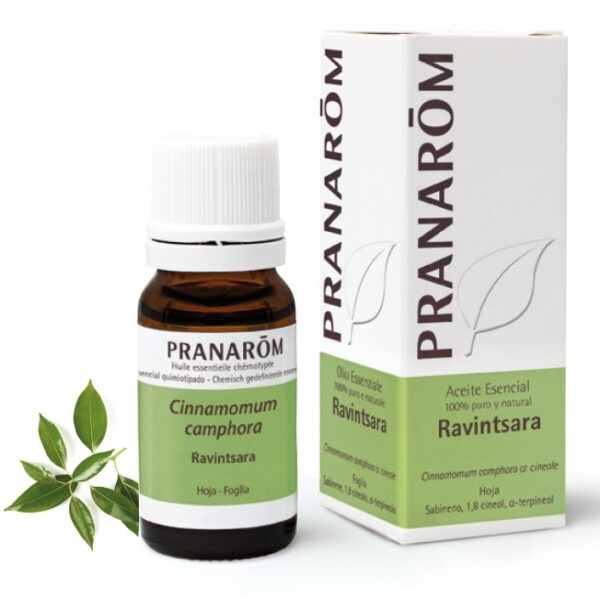 RAVINTSARA Aceite esencial