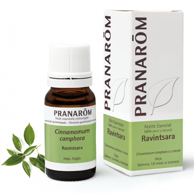 RAVINTSARA Aceite esencial RAVINTSARA Aceite esencial