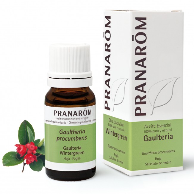GAULTERIA Aceite esencial Pranarom GAULTERIA Aceite esencial Pranarom