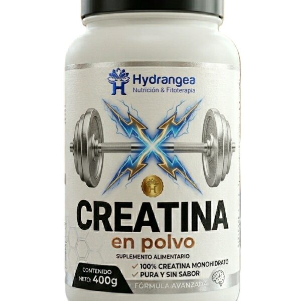 CREATINA MONOHIDRATO SABOR NEUTRO 400 G